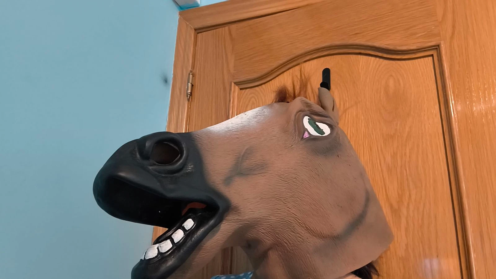 Mascara caballo